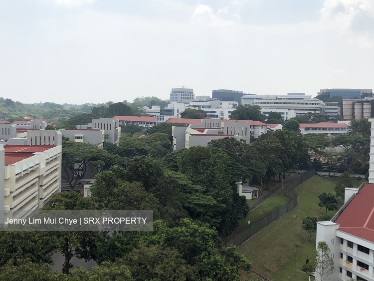 Blk 903 Jurong West Street 91 (Jurong West), HDB 4 Rooms #194675052